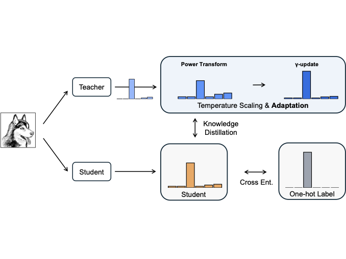 Temperature-Adaptive Transformed Teacher Matching teaser