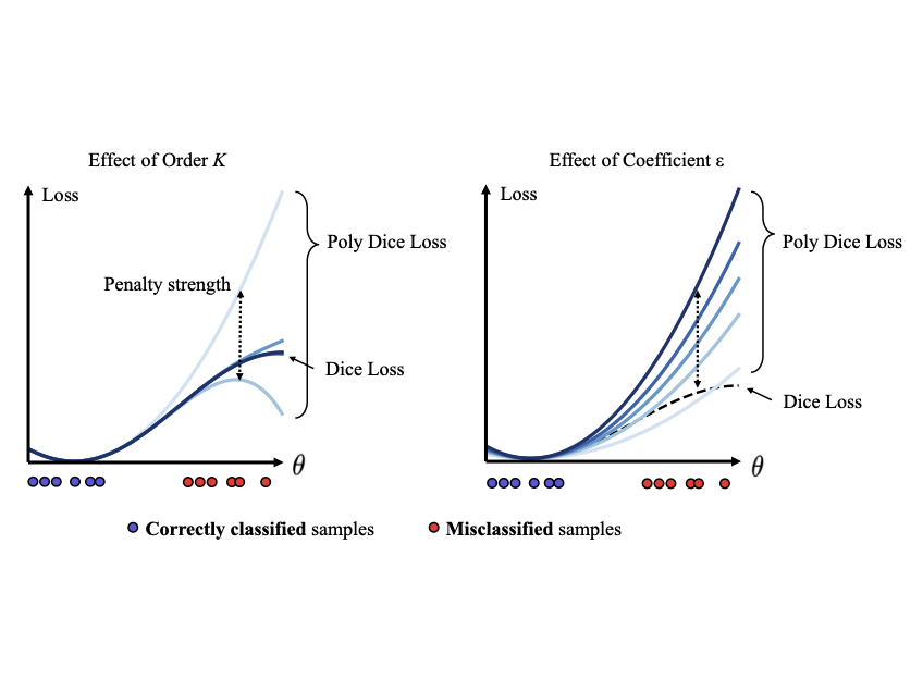 Polynomial Dice Loss for Medical Image Segmentation teaser